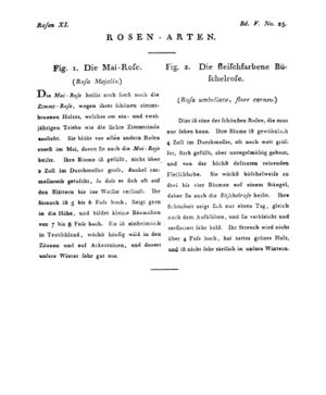 Ad00341 04 027a01.jpg