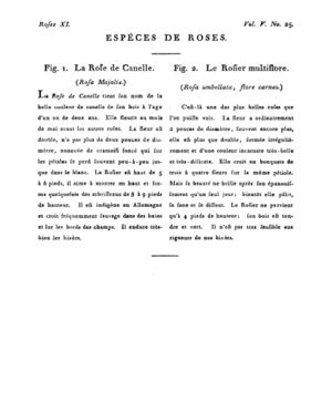 Ad00341 04 027a02.jpg