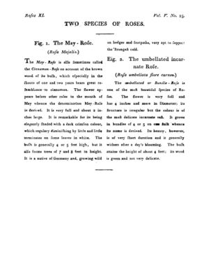 Ad00341 04 027a03.jpg