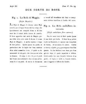 Ad00341 04 027a04.jpg