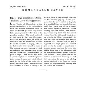 Ad00341 04 031a03.jpg