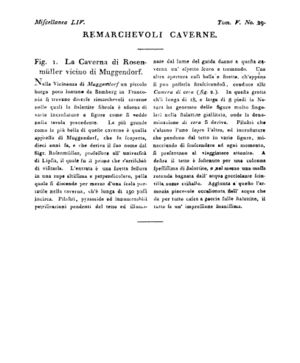 Ad00341 04 031a04.jpg