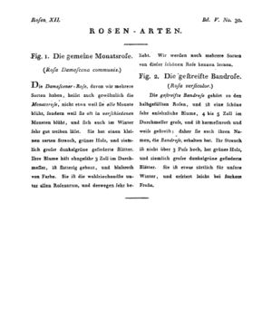 Ad00341 04 032a01.jpg