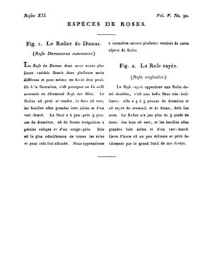 Ad00341 04 032a02.jpg