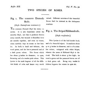 Ad00341 04 032a03.jpg