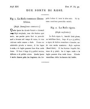 Ad00341 04 032a04.jpg