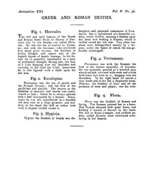 Ad00341 04 038a03.jpg
