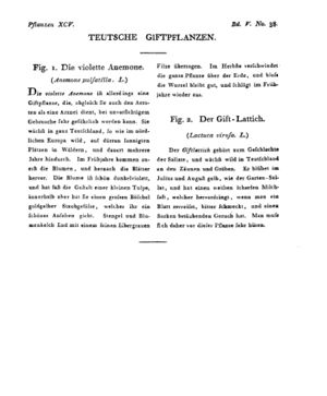 Ad00341 04 040a01.jpg