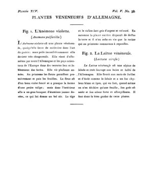 Ad00341 04 040a02.jpg