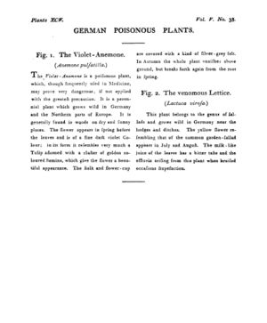Ad00341 04 040a03.jpg