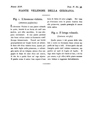 Ad00341 04 040a04.jpg