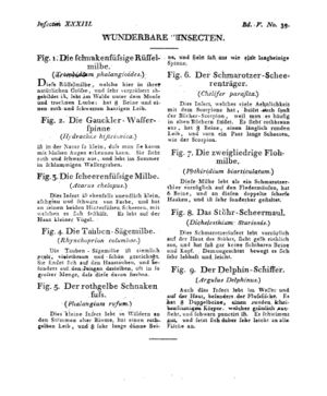 Ad00341 04 041a01.jpg