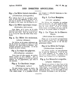 Ad00341 04 041a02.jpg