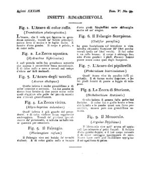 Ad00341 04 041a04.jpg