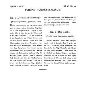 Ad00341 04 042a01.jpg