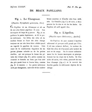 Ad00341 04 042a02.jpg
