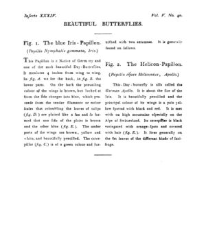 Ad00341 04 042a03.jpg