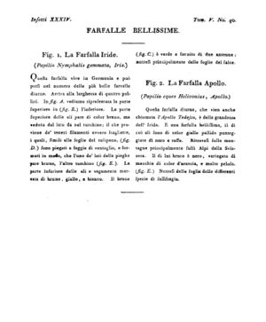 Ad00341 04 042a04.jpg