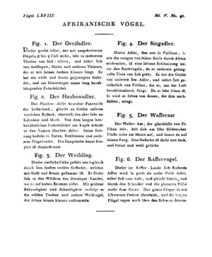 Ad00341 04 043a01.jpg