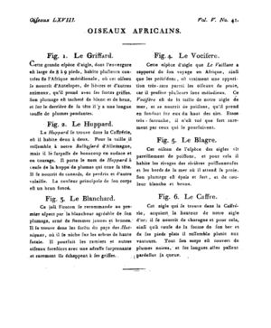 Ad00341 04 043a02.jpg