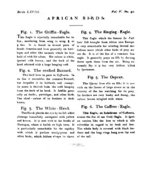 Ad00341 04 043a03.jpg