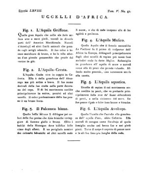 Ad00341 04 043a04.jpg