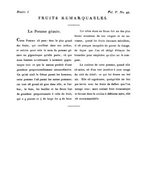 Ad00341 04 044a02.jpg
