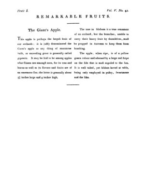 Ad00341 04 044a03.jpg