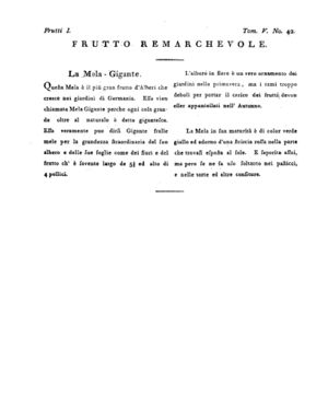 Ad00341 04 044a04.jpg