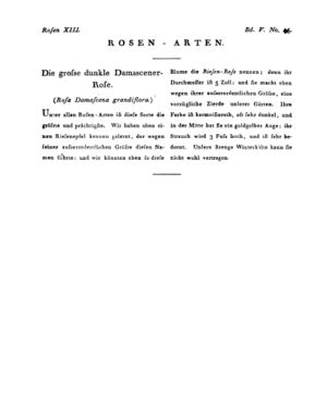 Ad00341 04 047a01.jpg