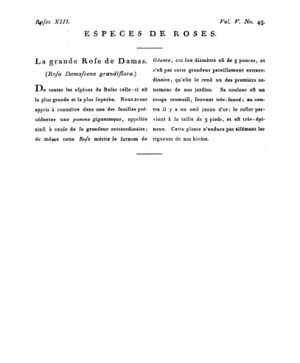 Ad00341 04 047a02.jpg