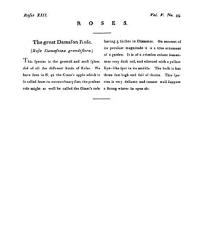 Ad00341 04 047a03.jpg