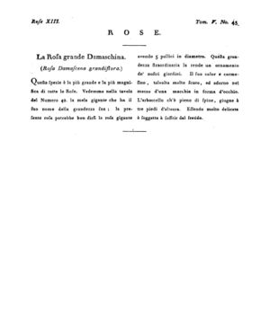 Ad00341 04 047a04.jpg
