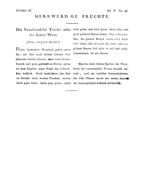 Ad00341 04 048a01.jpg