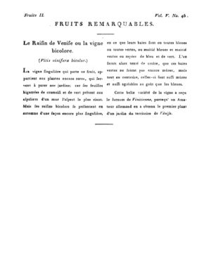 Ad00341 04 048a02.jpg