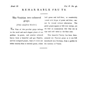 Ad00341 04 048a03.jpg