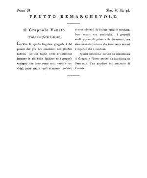Ad00341 04 048a04.jpg