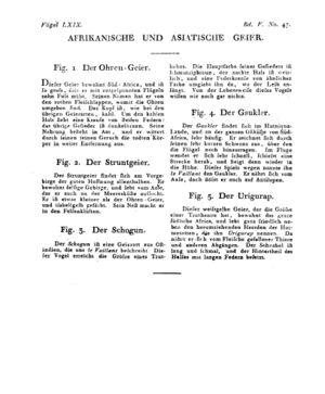 Ad00341 04 049a01.jpg
