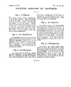 Ad00341 04 049a02.jpg