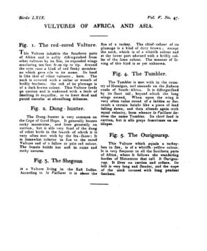 Ad00341 04 049a03.jpg