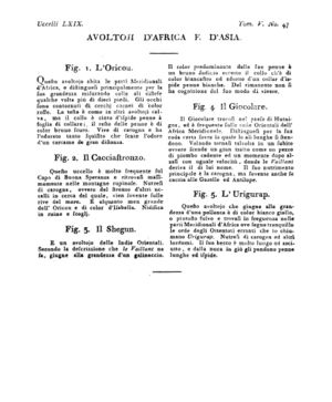 Ad00341 04 049a04.jpg