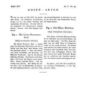 Ad00341 04 052a01.jpg