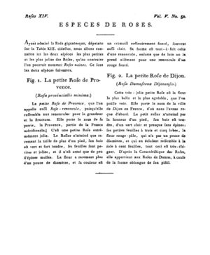 Ad00341 04 052a02.jpg