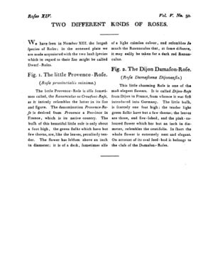 Ad00341 04 052a03.jpg