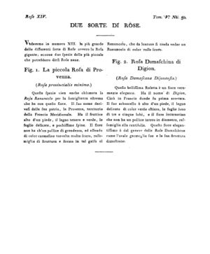 Ad00341 04 052a04.jpg