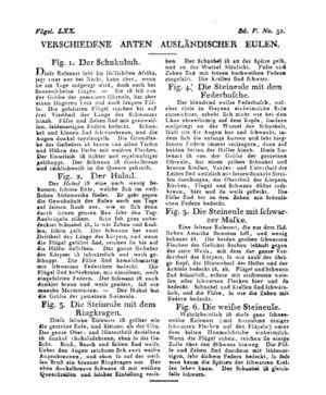 Ad00341 04 053a01.jpg