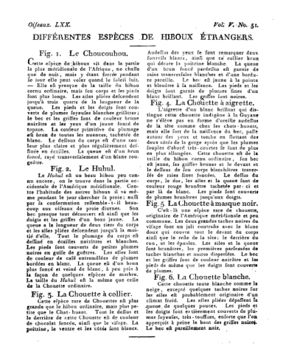 Ad00341 04 053a02.jpg