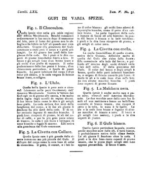 Ad00341 04 053a04.jpg