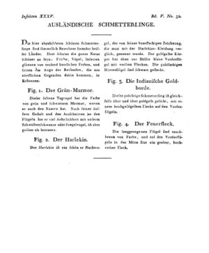 Ad00341 04 054a01.jpg