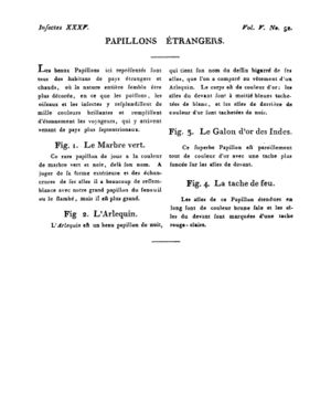 Ad00341 04 054a02.jpg